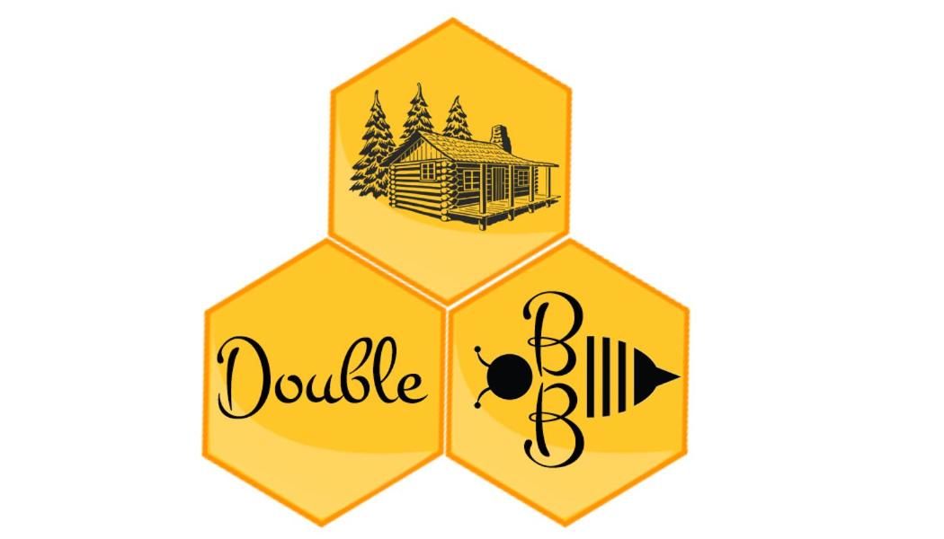 Дома для отпуска Double B Lăschia-41